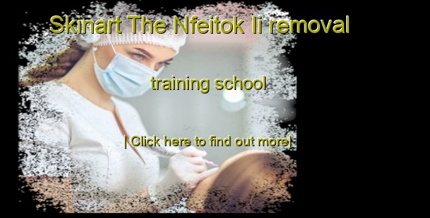 Skinart The Nfeitok Ii removal training school-United Kingdom