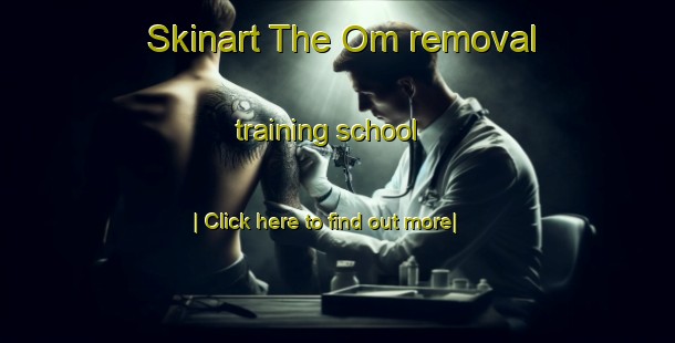 Skinart The Om removal training school-United Kingdom