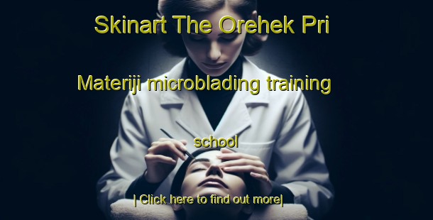 Skinart The Orehek Pri Materiji microblading training school-United Kingdom