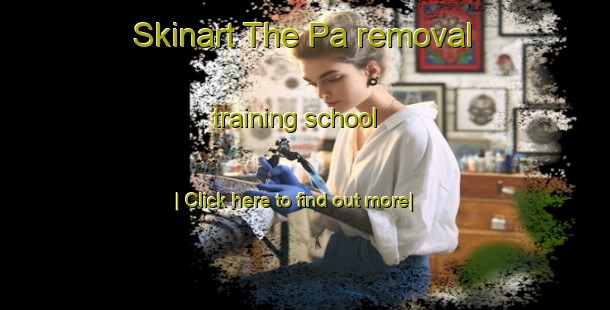 Skinart The Pa removal training school-United Kingdom