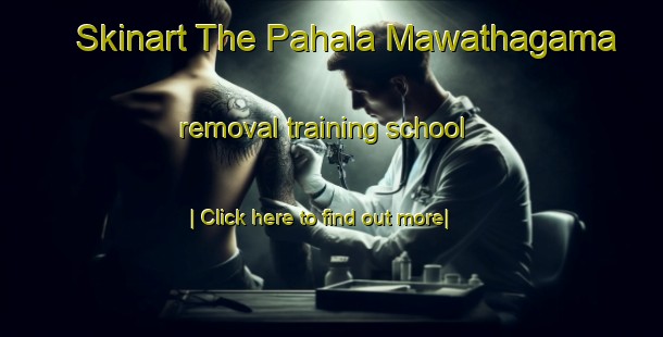 Skinart The Pahala Mawathagama removal training school-United Kingdom