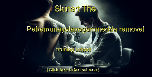 Skinart The Pahamunayalayagammedda removal training school-United Kingdom