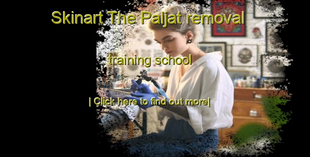 Skinart The Paljat removal training school-United Kingdom