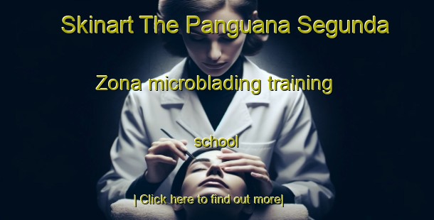 Skinart The Panguana Segunda Zona microblading training school-United Kingdom