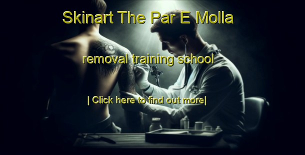 Skinart The Par E Molla removal training school-United Kingdom