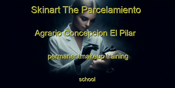 Skinart The Parcelamiento Agrario Concepcion El Pilar permanentmakeup training school-United Kingdom