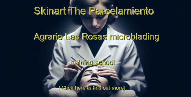 Skinart The Parcelamiento Agrario Las Rosas microblading training school-United Kingdom