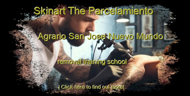 Skinart The Parcelamiento Agrario San Jose Nuevo Mundo removal training school-United Kingdom