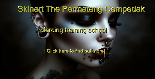 Skinart The Permatang Cempedak piercing training school-United Kingdom