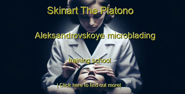 Skinart The Platono Aleksandrovskoye microblading training school-United Kingdom