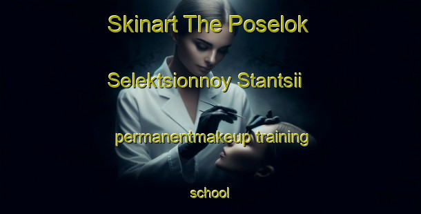 Skinart The Poselok Selektsionnoy Stantsii permanentmakeup training school-United Kingdom