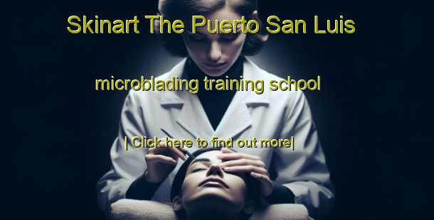 Skinart The Puerto San Luis microblading training school-United Kingdom