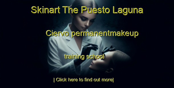 Skinart The Puesto Laguna Ciervo permanentmakeup training school-United Kingdom