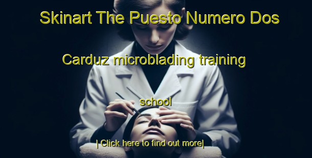 Skinart The Puesto Numero Dos Carduz microblading training school-United Kingdom