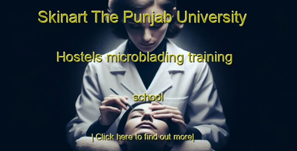 Skinart The Punjab University Hostels microblading training school-United Kingdom