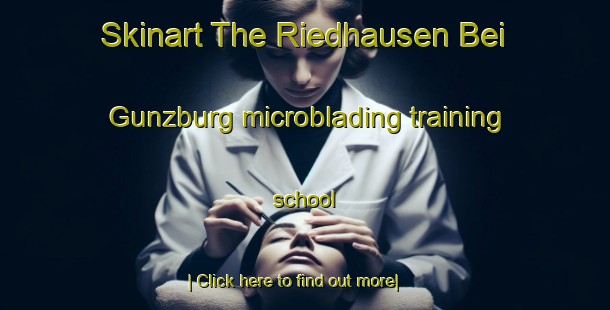 Skinart The Riedhausen Bei Gunzburg microblading training school-United Kingdom