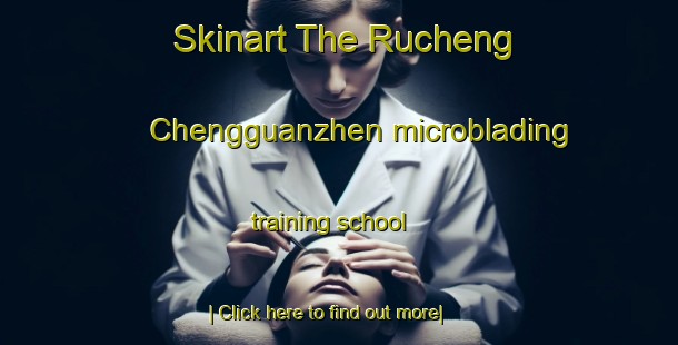 Skinart The Rucheng Chengguanzhen microblading training school-United Kingdom