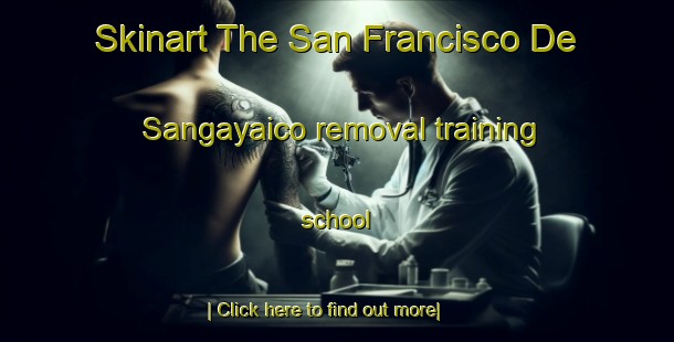 Skinart The San Francisco De Sangayaico removal training school-United Kingdom