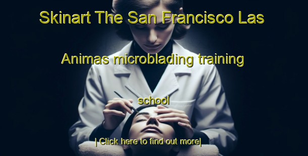 Skinart The San Francisco Las Animas microblading training school-United Kingdom