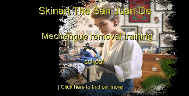 Skinart The San Juan De Mechengue removal training school-United Kingdom