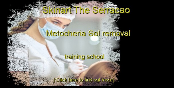 Skinart The Serracao Metocheria Sol removal training school-United Kingdom