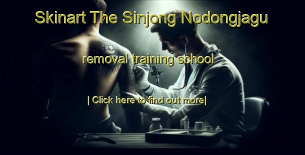 Skinart The Sinjong Nodongjagu removal training school-United Kingdom