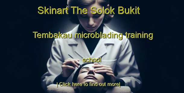 Skinart The Solok Bukit Tembakau microblading training school-United Kingdom