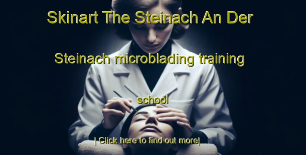 Skinart The Steinach An Der Steinach microblading training school-United Kingdom