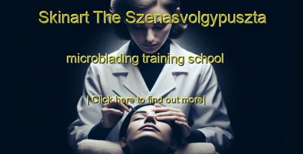 Skinart The Szenasvolgypuszta microblading training school-United Kingdom