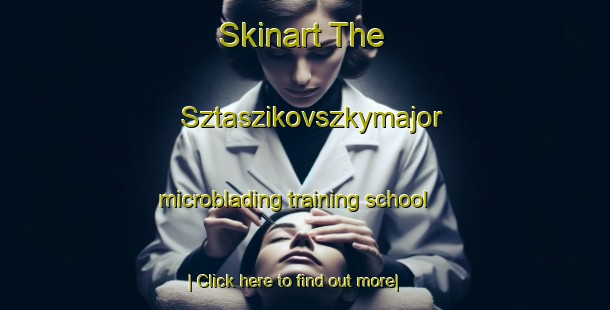 Skinart The Sztaszikovszkymajor microblading training school-United Kingdom