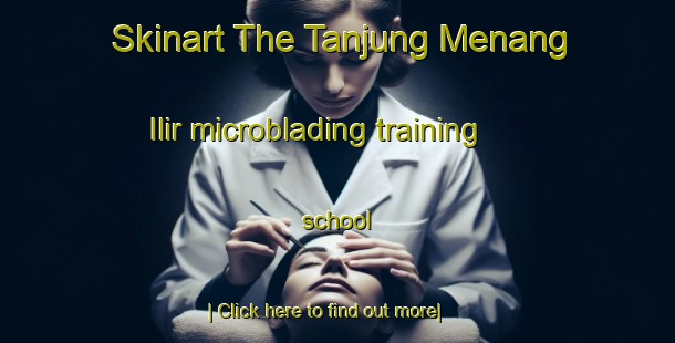 Skinart The Tanjung Menang Ilir microblading training school-United Kingdom