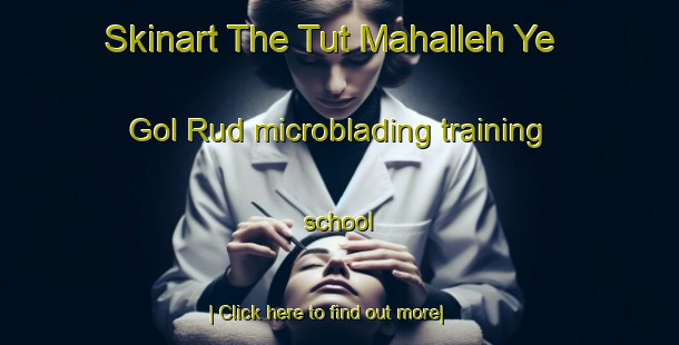 Skinart The Tut Mahalleh Ye Gol Rud microblading training school-United Kingdom