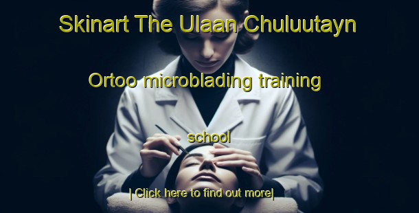 Skinart The Ulaan Chuluutayn Ortoo microblading training school-United Kingdom