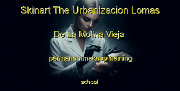 Skinart The Urbanizacion Lomas De La Molina Vieja permanentmakeup training school-United Kingdom