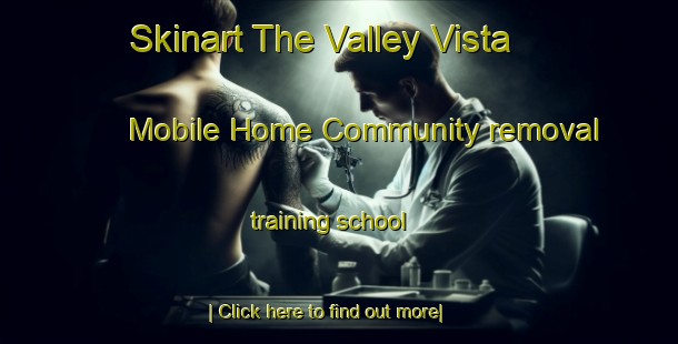 Skinart The Valley Vista Mobile Home Community removal training school-United Kingdom