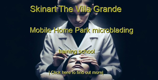 Skinart The Villa Grande Mobile Home Park microblading training school-United Kingdom