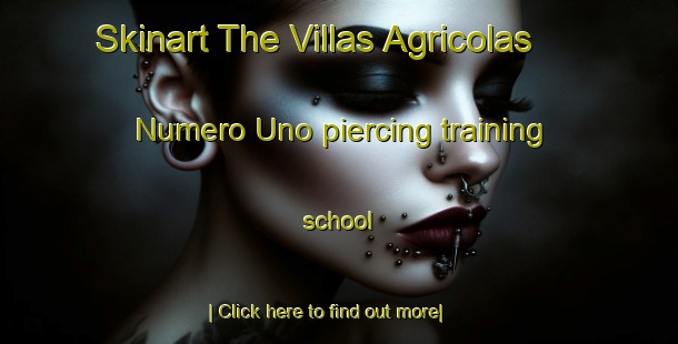 Skinart The Villas Agricolas Numero Uno piercing training school-United Kingdom