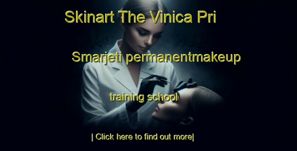 Skinart The Vinica Pri Smarjeti permanentmakeup training school-United Kingdom