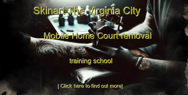 Skinart The Virginia City Mobile Home Court removal training school-United Kingdom