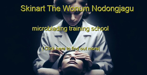 Skinart The Wonum Nodongjagu microblading training school-United Kingdom