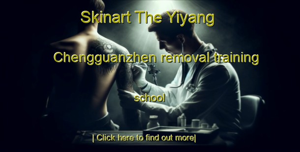 Skinart The Yiyang Chengguanzhen removal training school-United Kingdom