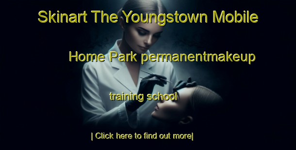 Skinart The Youngstown Mobile Home Park permanentmakeup training school-United Kingdom