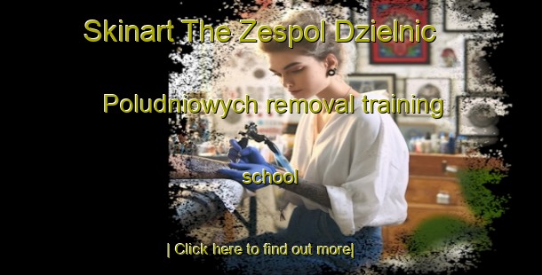 Skinart The Zespol Dzielnic Poludniowych removal training school-United Kingdom