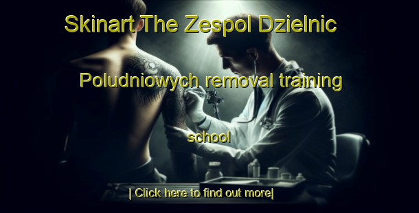 Skinart The Zespol Dzielnic Poludniowych removal training school-United Kingdom