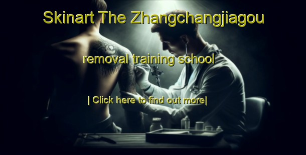 Skinart The Zhangchangjiagou removal training school-United Kingdom