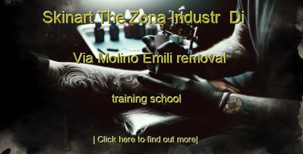 Skinart The Zona Industr  Di Via Molino Emili removal training school-United Kingdom