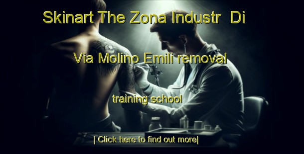 Skinart The Zona Industr  Di Via Molino Emili removal training school-United Kingdom