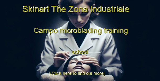 Skinart The Zona Industriale Campo microblading training school-United Kingdom