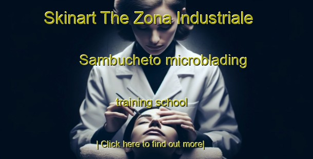 Skinart The Zona Industriale Sambucheto microblading training school-United Kingdom