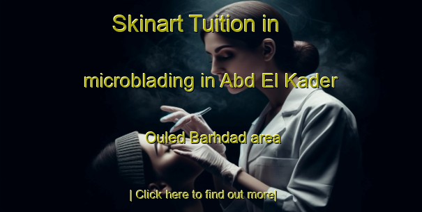 Skinart Tuition in microblading in Abd El Kader Ouled Barhdad area-United Kingdom